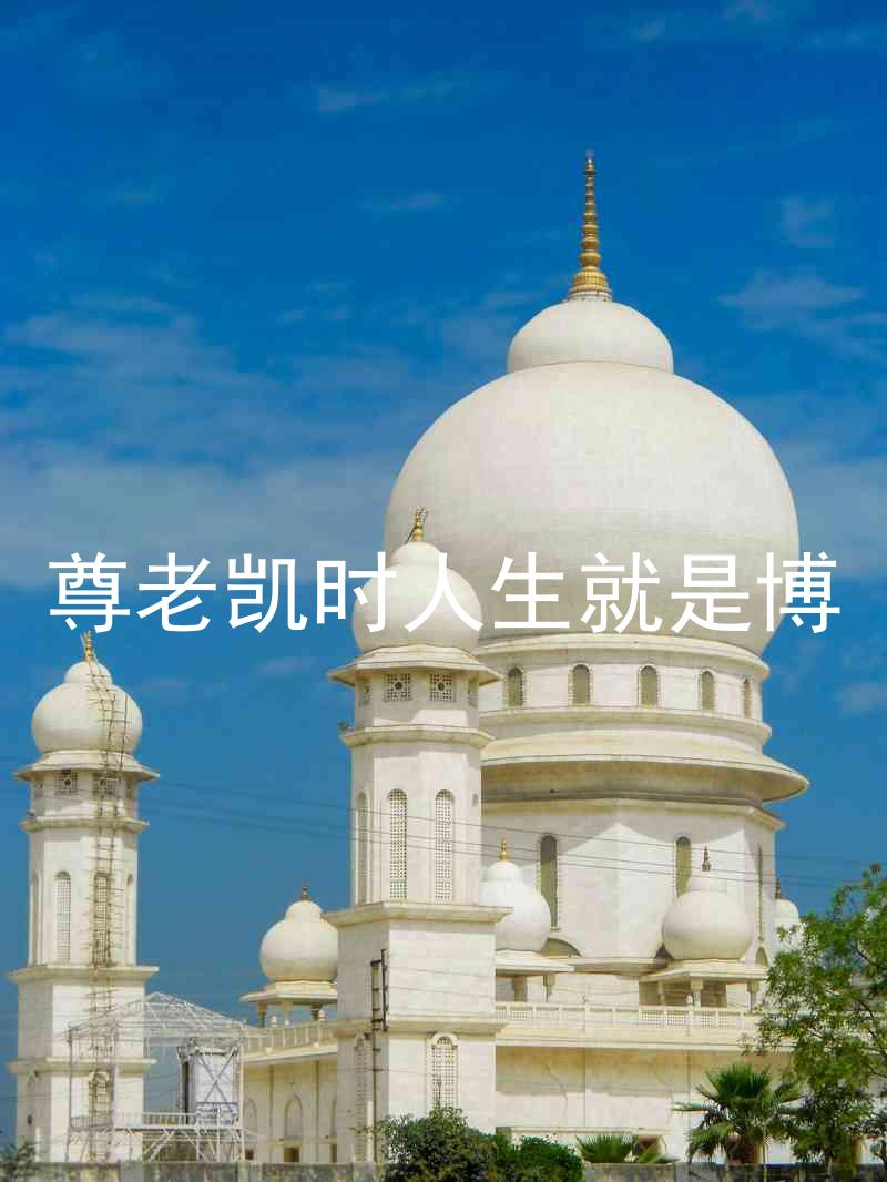 尊老凯时人生就是博